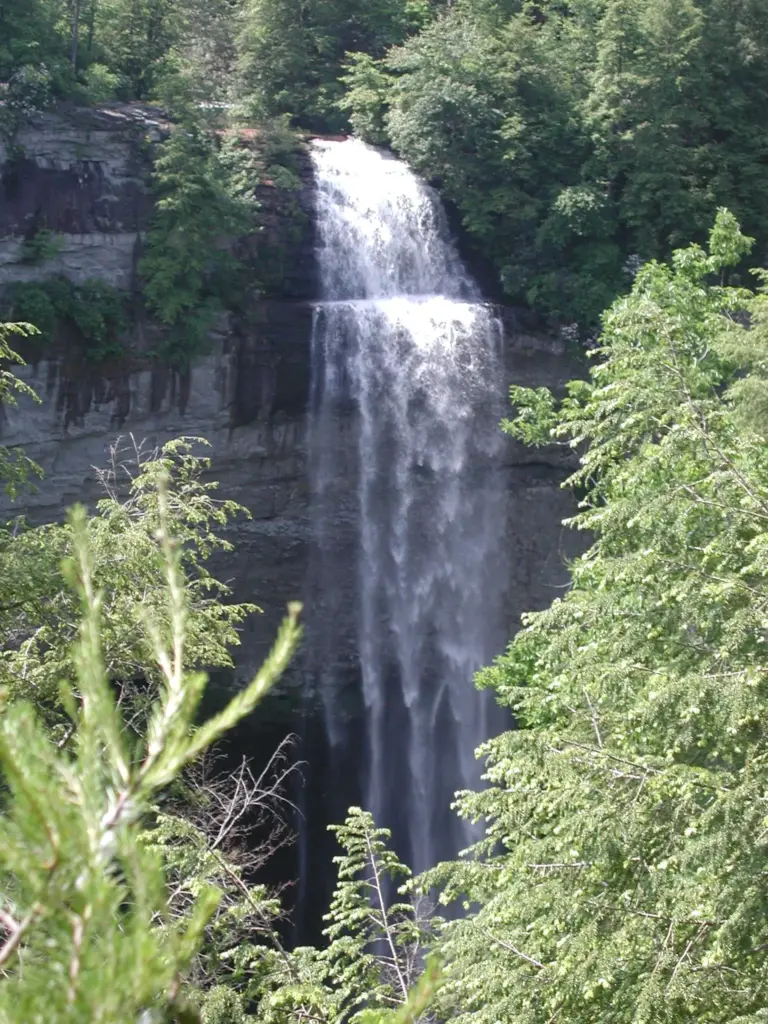A tall, narrow waterfall plunging into a green wooded gorge at Fall Creek Falls State Park