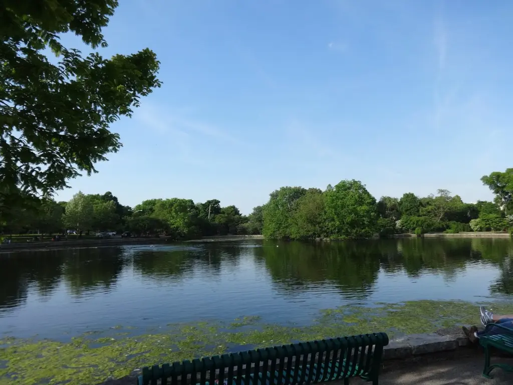 Lake Watauga in Centennial Park under a blue sky, with green trees along the far bank and a bench in the foreground