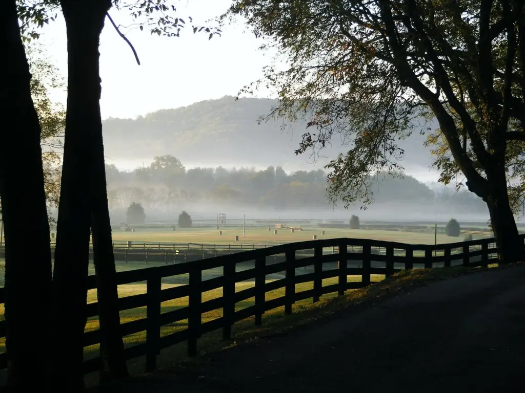 Morning mist over the rolling meadows and trees of Percy Warner Park in late October