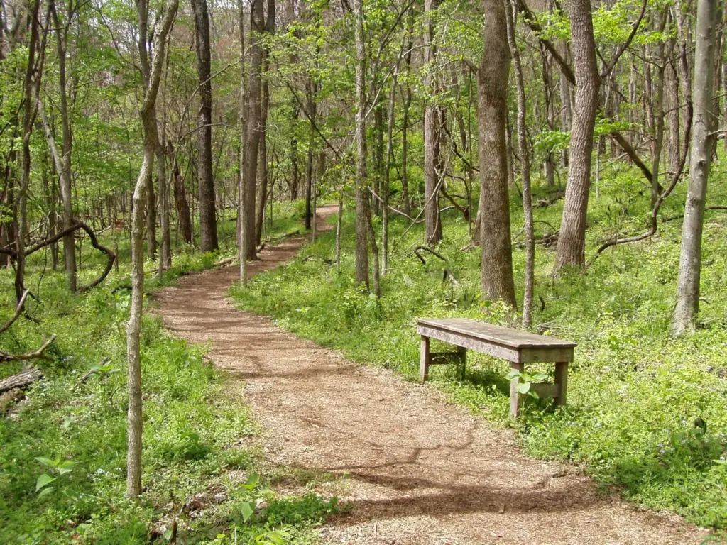 A dirt trail curving through green spring woodland past a wooden bench at Radnor Lake State Park