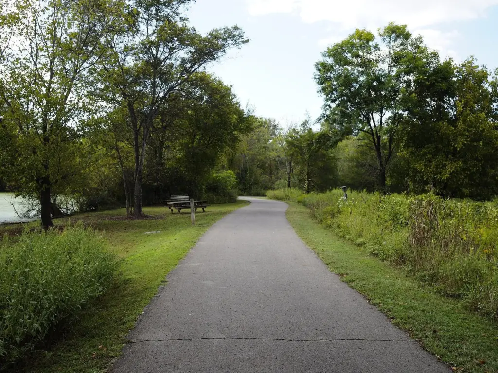 A paved greenway path running between leafy trees and tall grass at Shelby Bottoms, with a picnic table beside it and water at the left edge