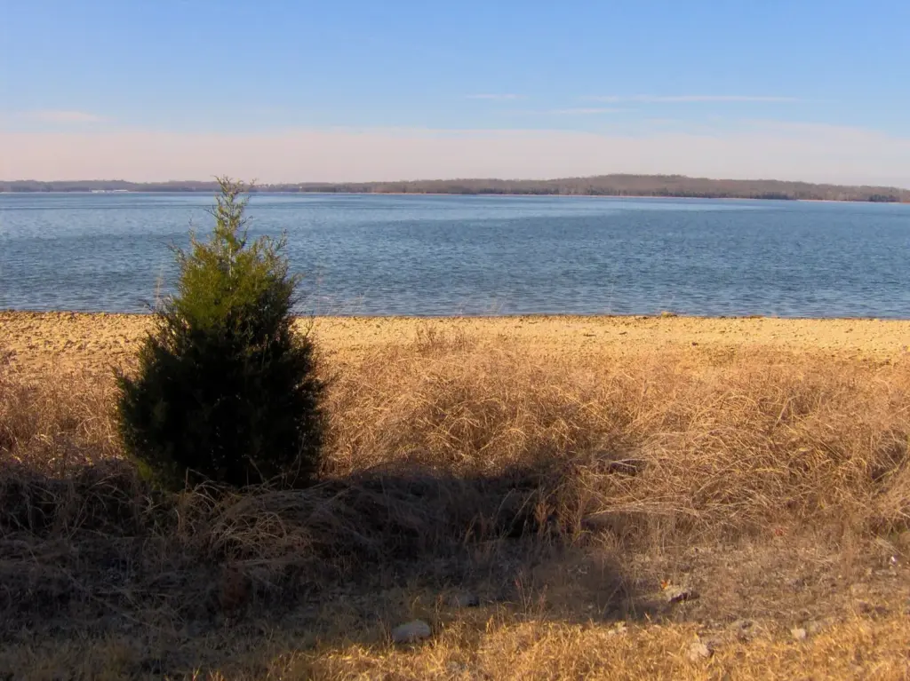 Percy Priest Lake seen across a field of pale winter grass from Long Hunter State Park
